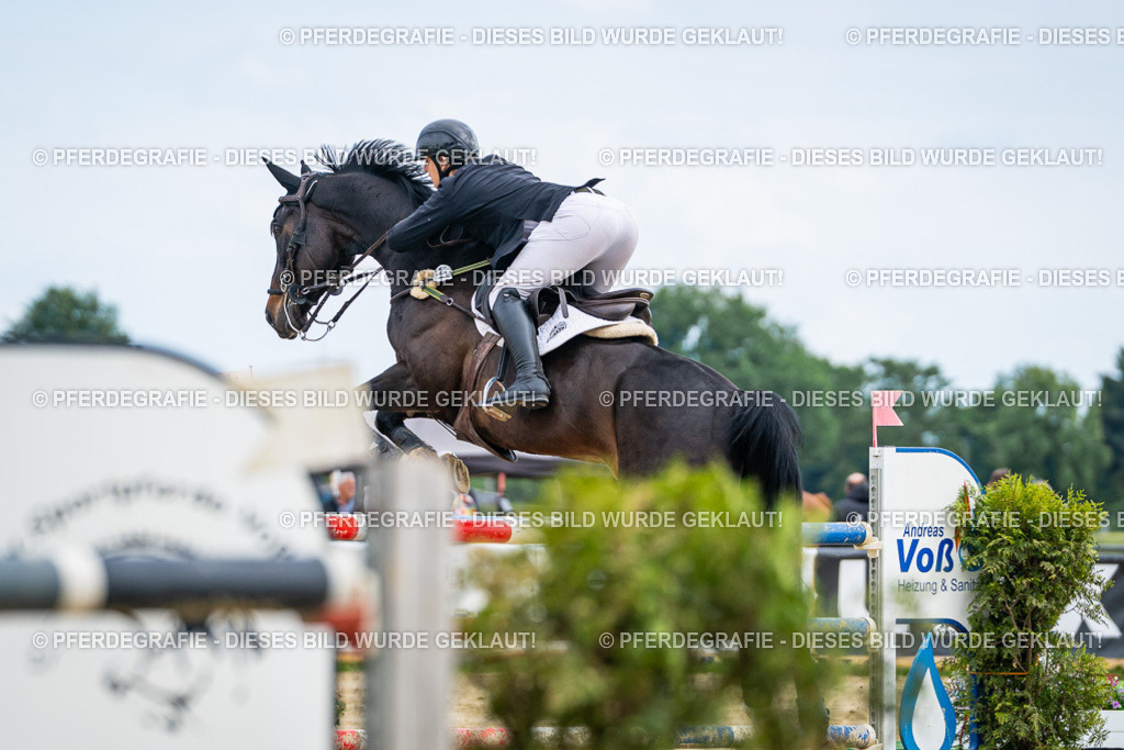 DSC07083 | Pferdegrafie