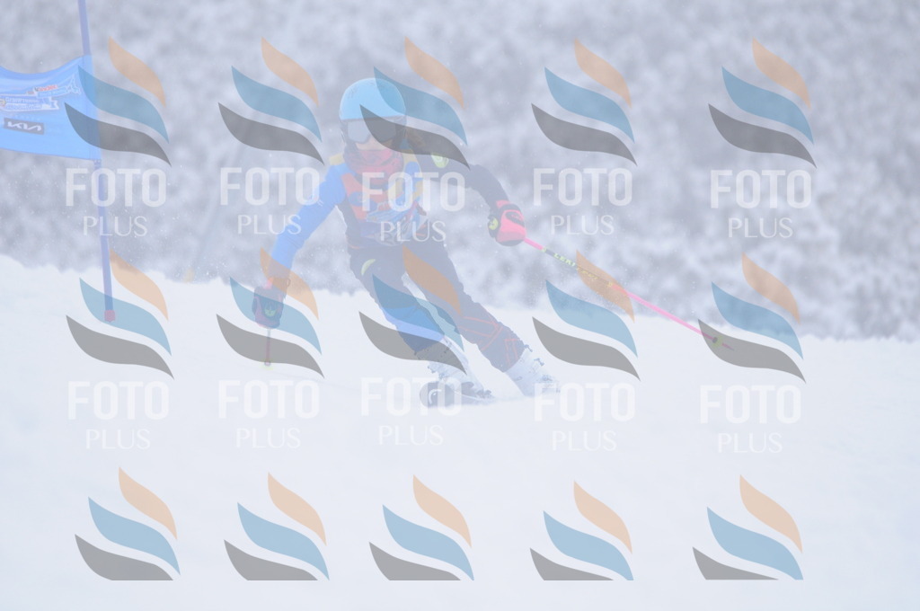 C2809 | holidayphoto