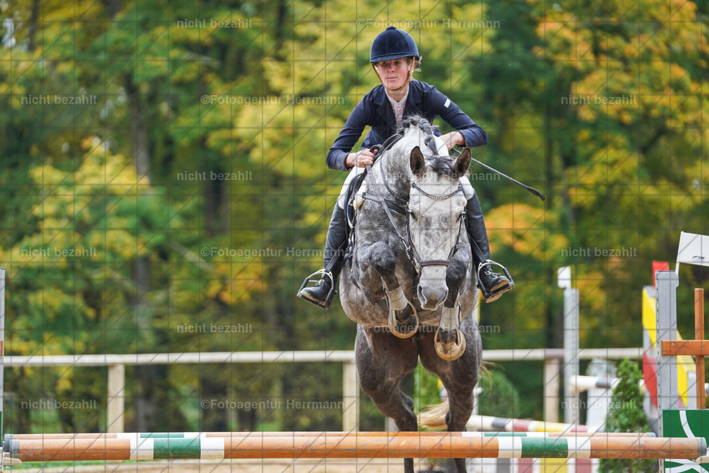 20221009-FAH08873 | Diessen am Ammersee, 2022, Dressur- und Springturnier, Reitsportbilder, Turnierfotografen Bayern, Pferdefotografen, Fotoagentur Herrmann, Turnierbilder