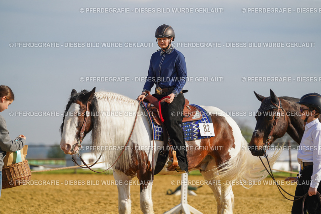 DSC00949 | Pferdegrafie