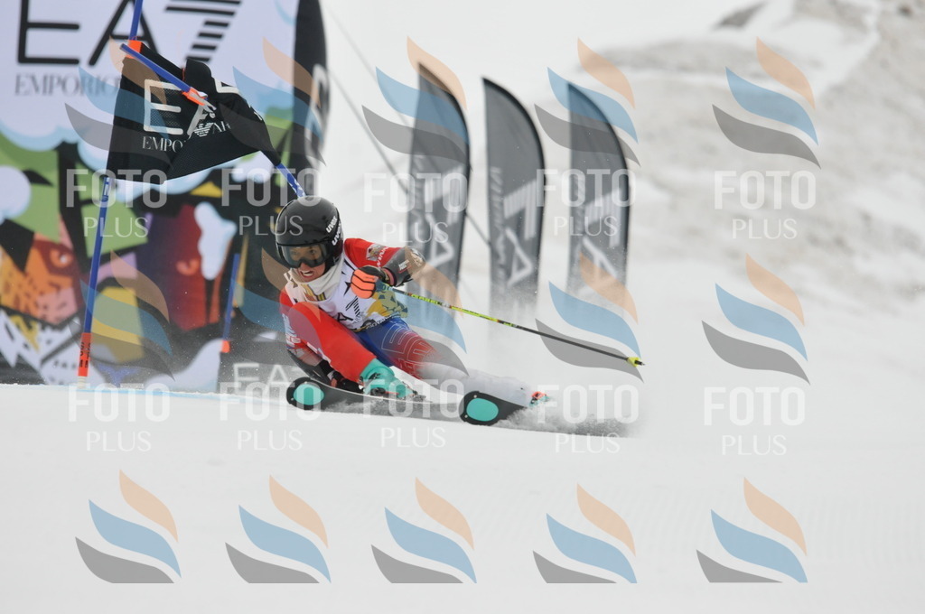 DSC_8433 | holidayphoto