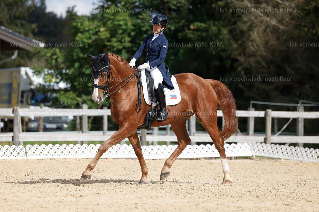 09_2-231-DRESSUR  S_  -StoibPH-5915 | working equitationturnier fotograf videograf stoibphotography marixx film working equitation deutschland reitsport turnierfotografie eventfotografie equestrian events