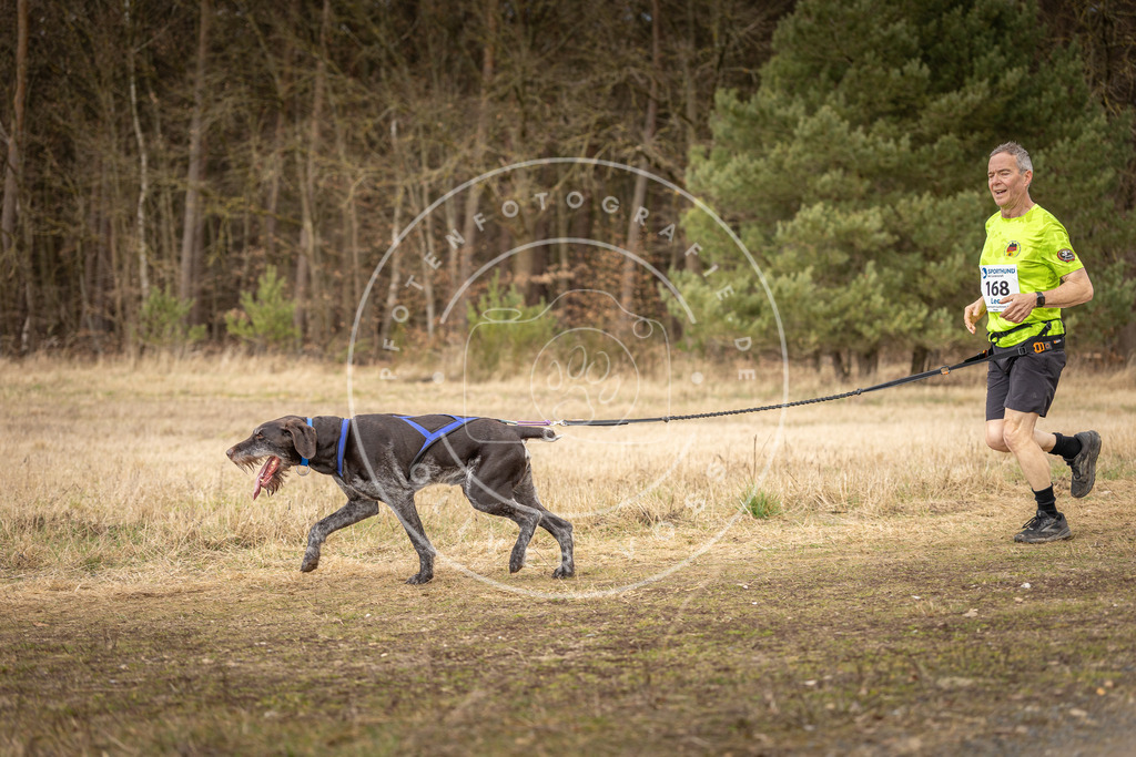 DV3A5269 | Hundefotografie, Tierfotograf, Pfotenfotografie, Fotoshooting Hund, Hunde Portrait, Hundesport, Hundeportraits, Heideshooting, Hunde, Sportfotograf, Hundefotograf, Turnierhundsport, THS,  - Realisiert mit Pictrs.com