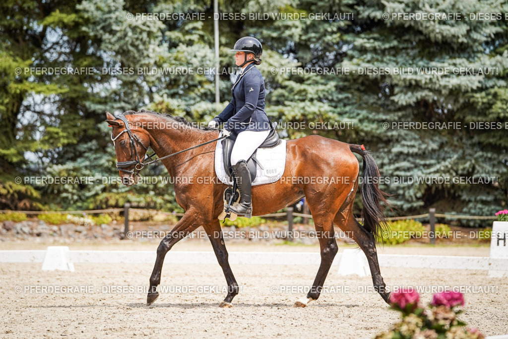 DSC03907 | Pferdegrafie