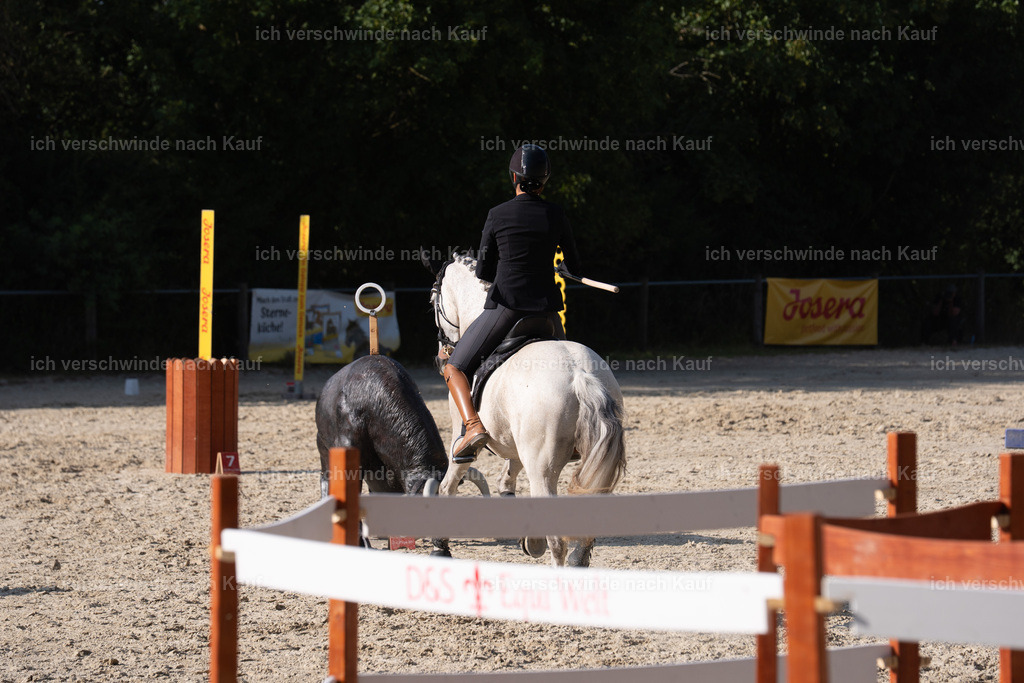 WS-WM_SP_68_SinaFilmArt_IN09395 | working equitationturnier fotograf videograf stoibphotography marixx film working equitation deutschland reitsport turnierfotografie eventfotografie equestrian events