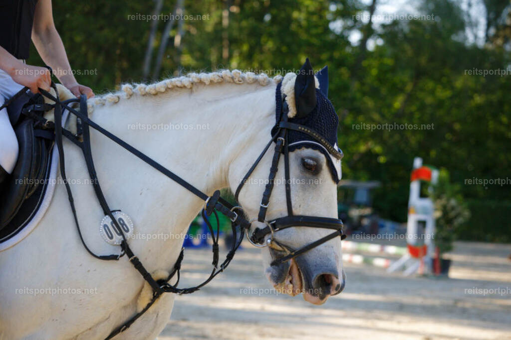 JHE_4321 | JoYa Fotografie - Realisiert mit Pictrs.com
