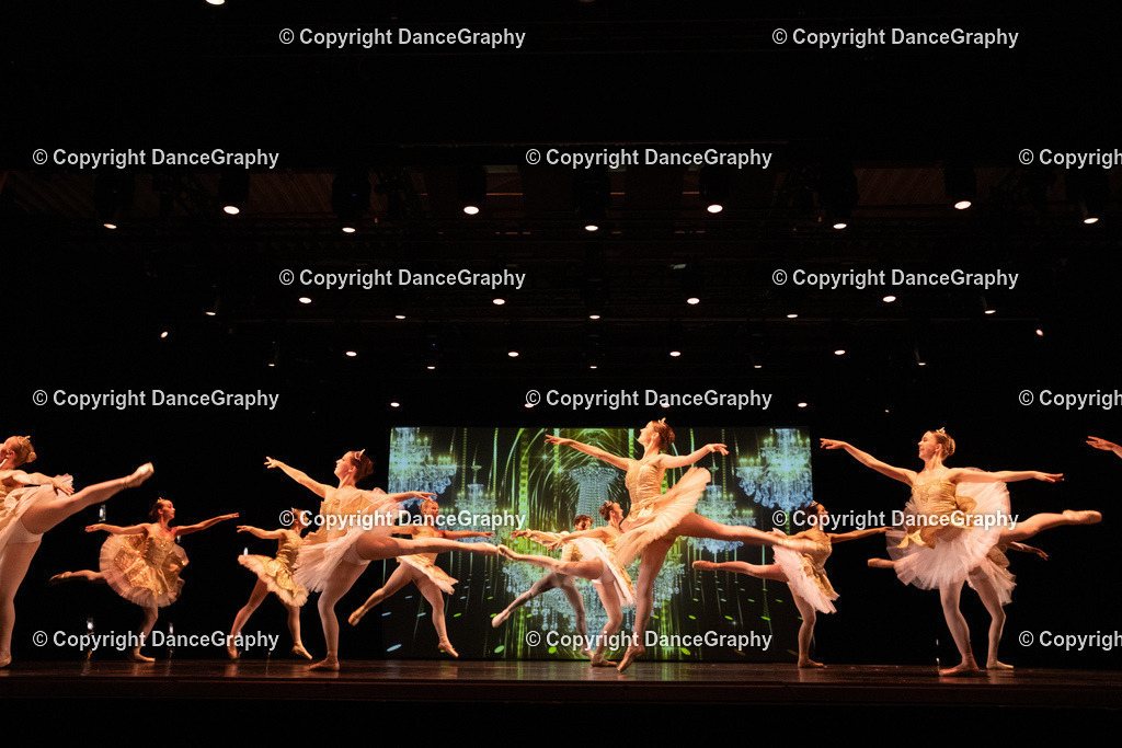 GPHY6560 | DanceGraphy - Realisiert mit Pictrs.com