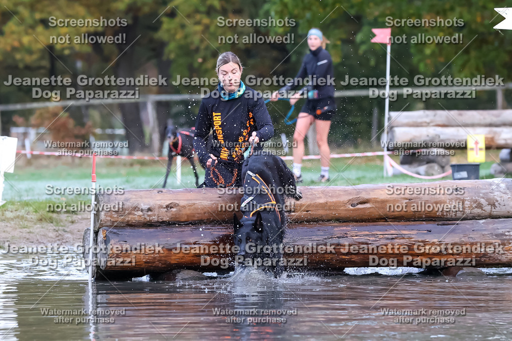 Dog Paparazzi - Strongdog 10-25-6270 | Dog Paparazzi Jeanette Grottendiek Fotografie & Videografie - Realisiert mit Pictrs.com