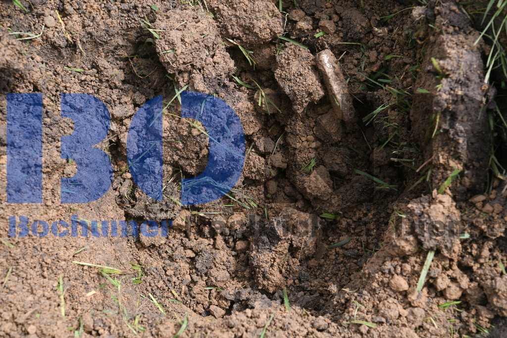 636. Maiabendfest 2024 | {headline}



(Foto: Christian Schnaubelt / BOND)

 - Realisiert mit Pictrs.com