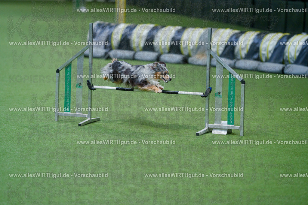 @allesWIRTHgut_Tierfotografie - www.allesWIRTHgut.de - 2604250958-7R509373 | Professionelle Tierfotografie in Mönchengladbach von Daniel Wirth (allesWIRTHgut). Liebevolle & natürliche Bilder von Hunden & Katzen für unvergessliche Erinnerungen.