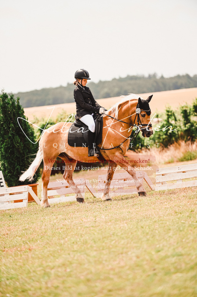 DSC_6360 | Pferde- und Turnierfotografie in Westsachsen. Pferdeportraits, Auftragszeichnungen und intuitive Kunst.