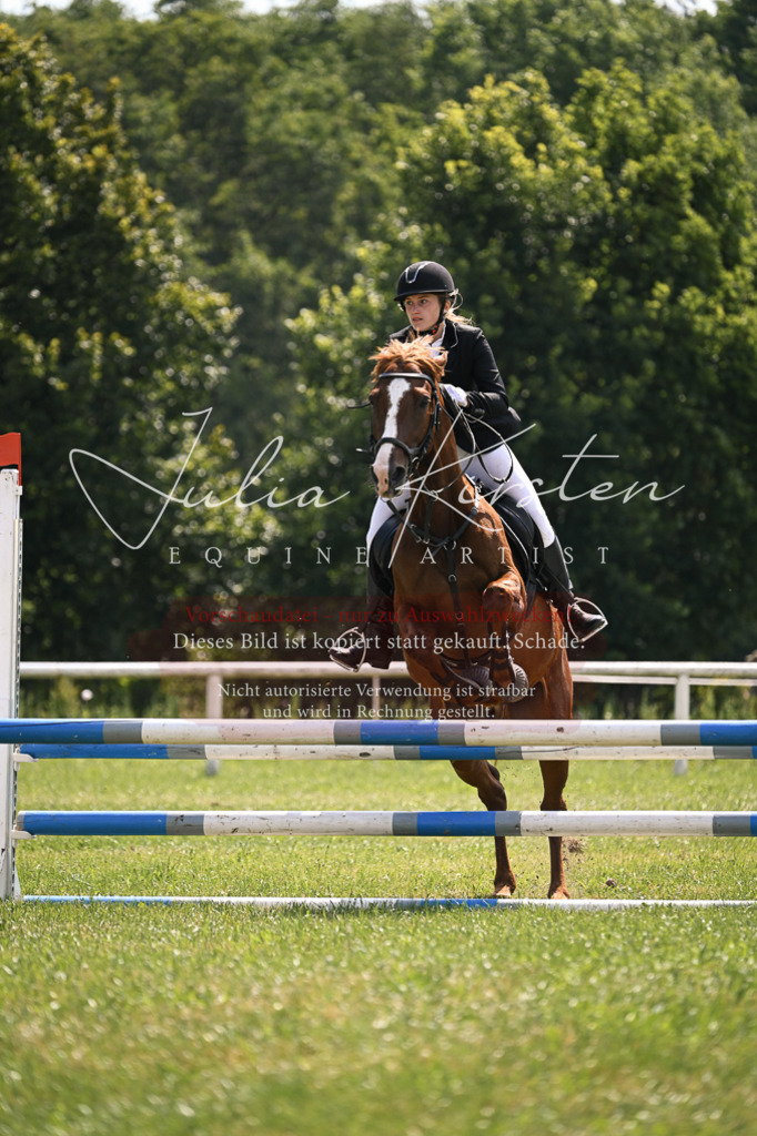 DSC_9039 | Pferde- und Turnierfotografie in Westsachsen. Pferdeportraits, Auftragszeichnungen und intuitive Kunst.