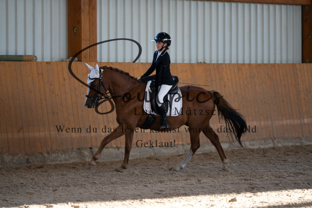 A7V01713 | Turnier/Reitfotograf