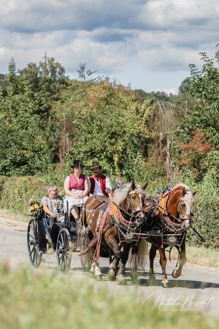 7V6A1329 | natalia-nirschl-photography