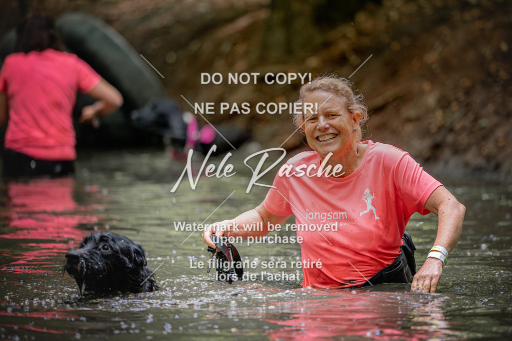 nelerasche_SaWingst1530-1600_251 | nelerasche