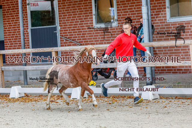 GK (160 von 759) | mandyhollmannphotographie