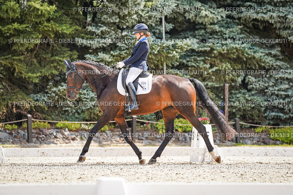 DSC09201 | Pferdegrafie