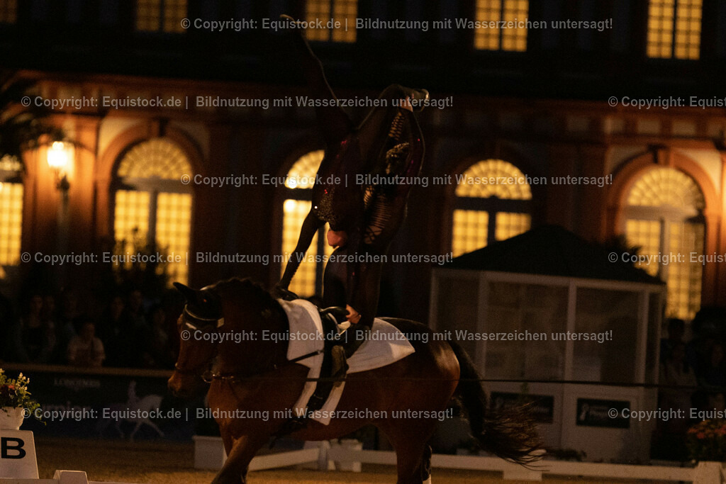 20230527_Voltigieren_NASPA_Flutlicht_0812 | equistock