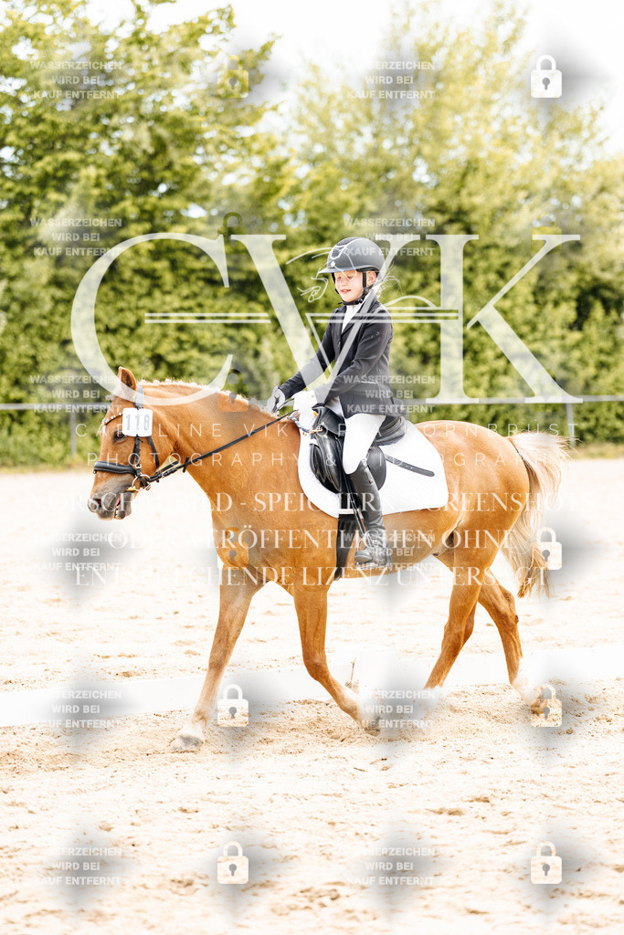 CK904692 | Turnierfotografie Pferdefotografie Trier Rheinland-Pfalz Pferdesport Reitsport Tierfotografie Sportfotografie Pferdevideo Pferdevideografie Equestrianvideography equestrianphotography  - Realisiert mit Pictrs.com