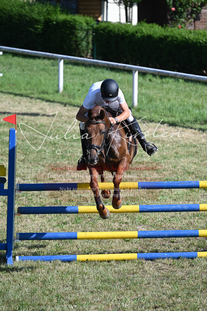 DSC_2255 | Pferde- und Turnierfotografie in Westsachsen. Pferdeportraits, Auftragszeichnungen und intuitive Kunst.