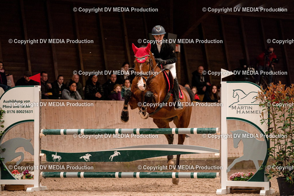 Springen Tag 2-408 | dv-media-shop - Realisiert mit Pictrs.com