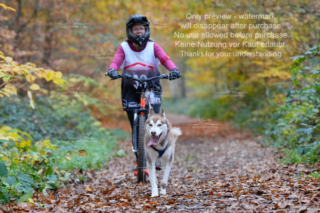 Scooter_So-106 | stephaniefillaphotographie - Realisiert mit Pictrs.com