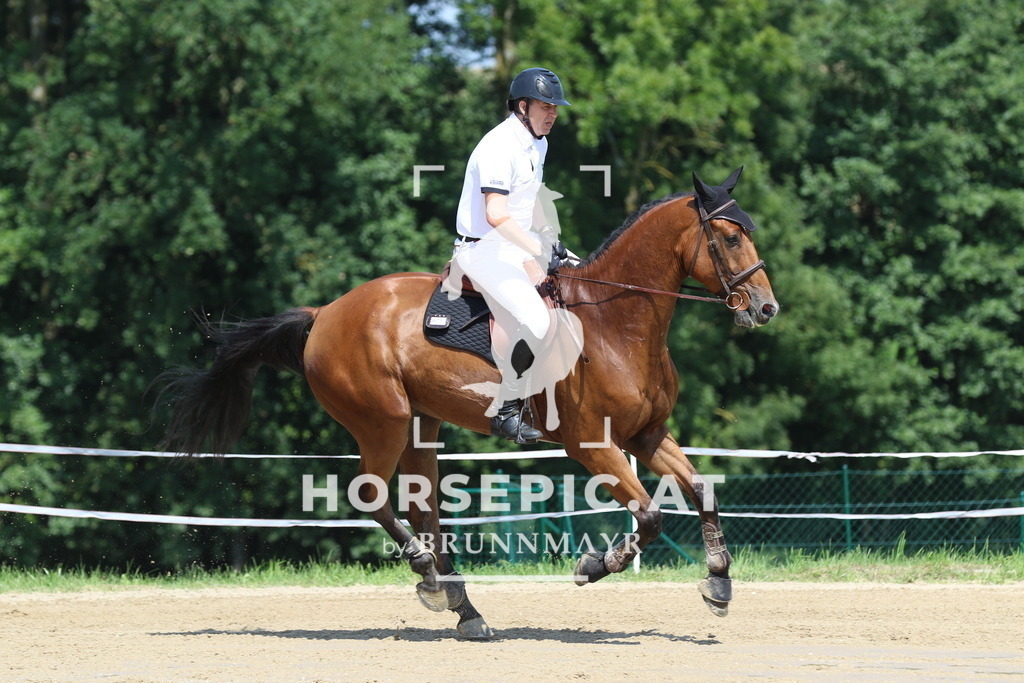 7V2A3268 | Willkommen bei Brunnmayr - Design & Fotografie – Ihrem Spezialisten für Reitturniere und Pferdeveranstaltungen in Oberösterreich, Salzburg und Bayern! Seit über 17 Jahren sind wir leidenschaftlich dabei.