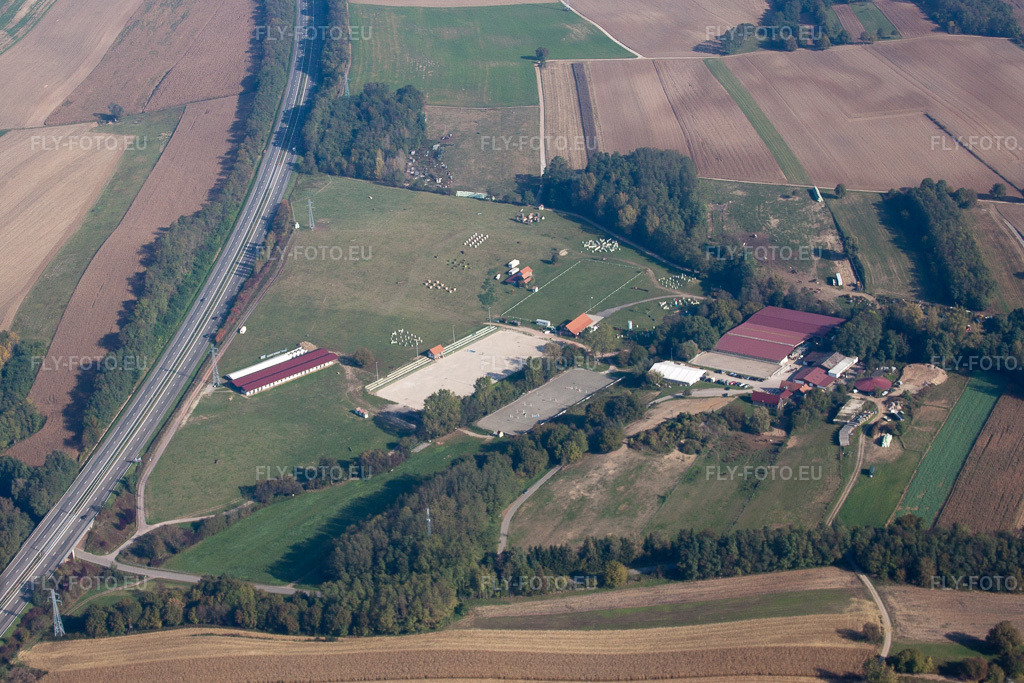 Vue aérienne: Haras de la Née à Mothern dans le département Bas Rhin, France – .Photo: IMG_45907.jpg prise le 16/10/2011 par Werner Riehm/FLY-FOTO.eu – Résolution de l'original: 4239 x 2826 px