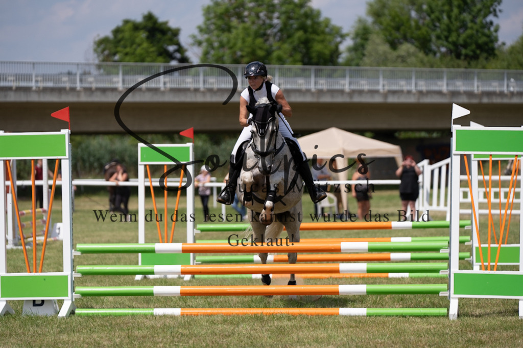 A7V00260 | Pferdefotograf