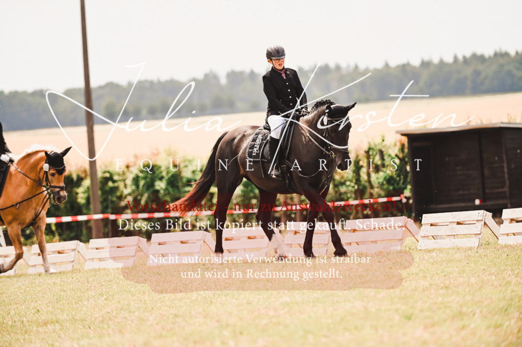 DSC_6204 | Pferde- und Turnierfotografie in Westsachsen. Pferdeportraits, Auftragszeichnungen und intuitive Kunst.