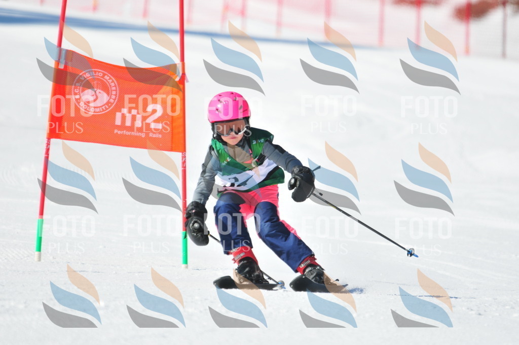 C2665 | holidayphoto