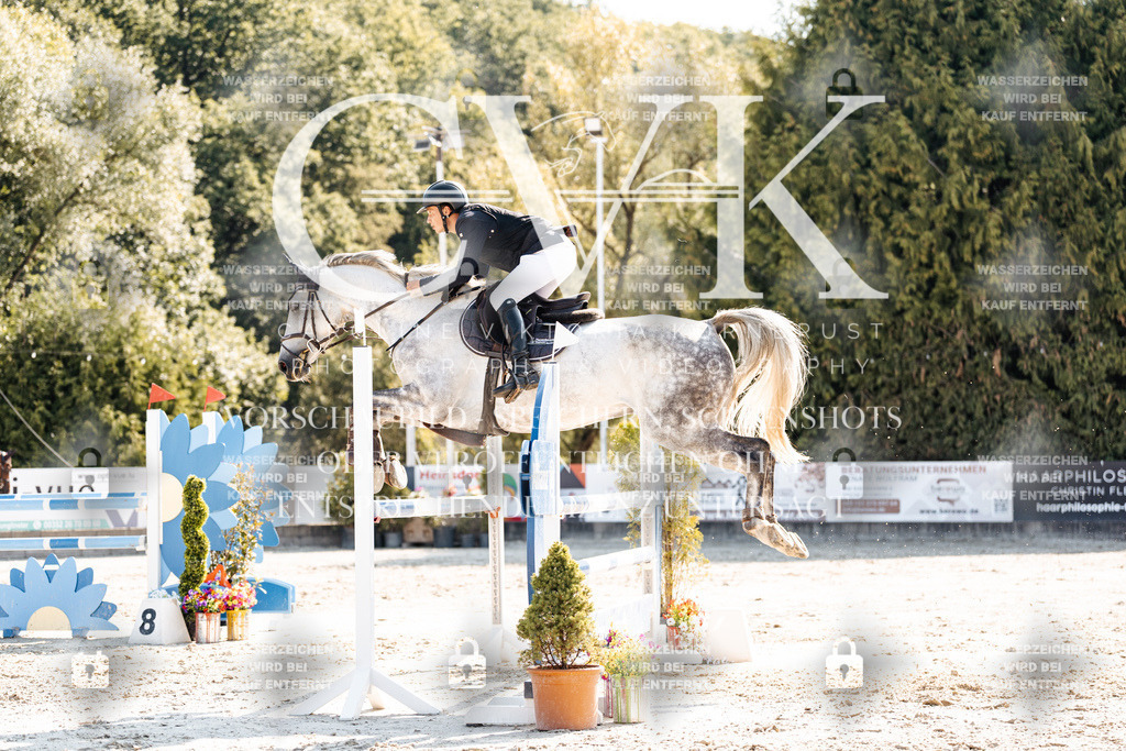 CK902366 | Turnierfotografie Pferdefotografie Trier Rheinland-Pfalz Pferdesport Reitsport Tierfotografie Sportfotografie Pferdevideo Pferdevideografie Equestrianvideography equestrianphotography  - Realisiert mit Pictrs.com
