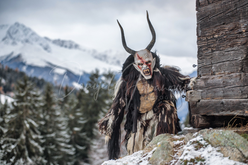 DSC06401 | Professioneller Fotograf - Bildbestellung online - Wandbilder vom Profi für ihr Zuhause, Büro, Praxis, Firma - große Auswahl an Materialien und Formaten, über 1400 regionale Motive