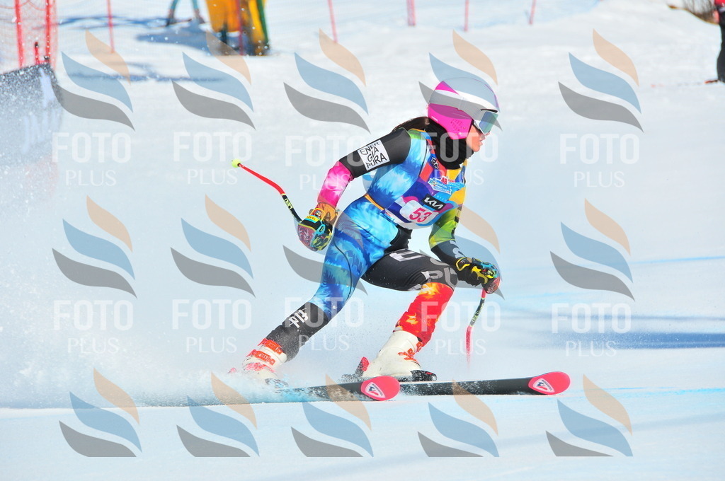 DSC_4118 | holidayphoto