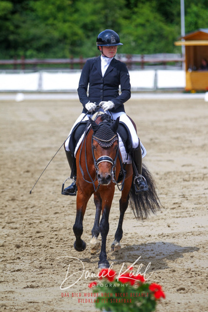 DKP47784 | Turniersportfotografie; Pferdefotografie; Dressurfotografie