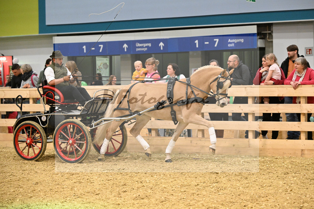 Schauprogramm_DSP Daria_1261131 | hf-fotografie - Realisiert mit Pictrs.com