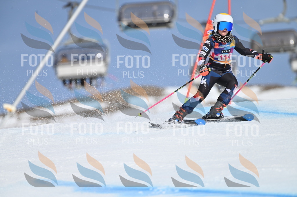 BGV_9697 | holidayphoto