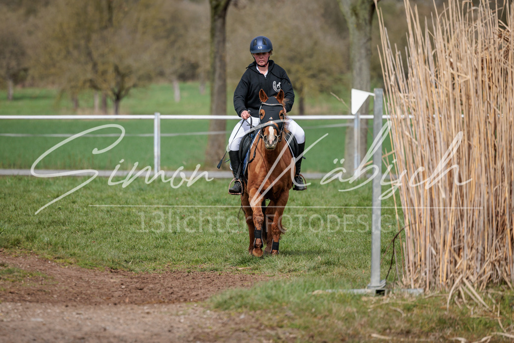 20260329-_3LI4277 | Tierfotografie Pferde, Hunde, Katzen, Haustiere.
Turnierfotografie Reitturniere, Reiten, Springreiten, Dressur in Hanau, dem Main-Kinzig-Kreis und dem Rhein-Main- Gebiet um Frankfurt
