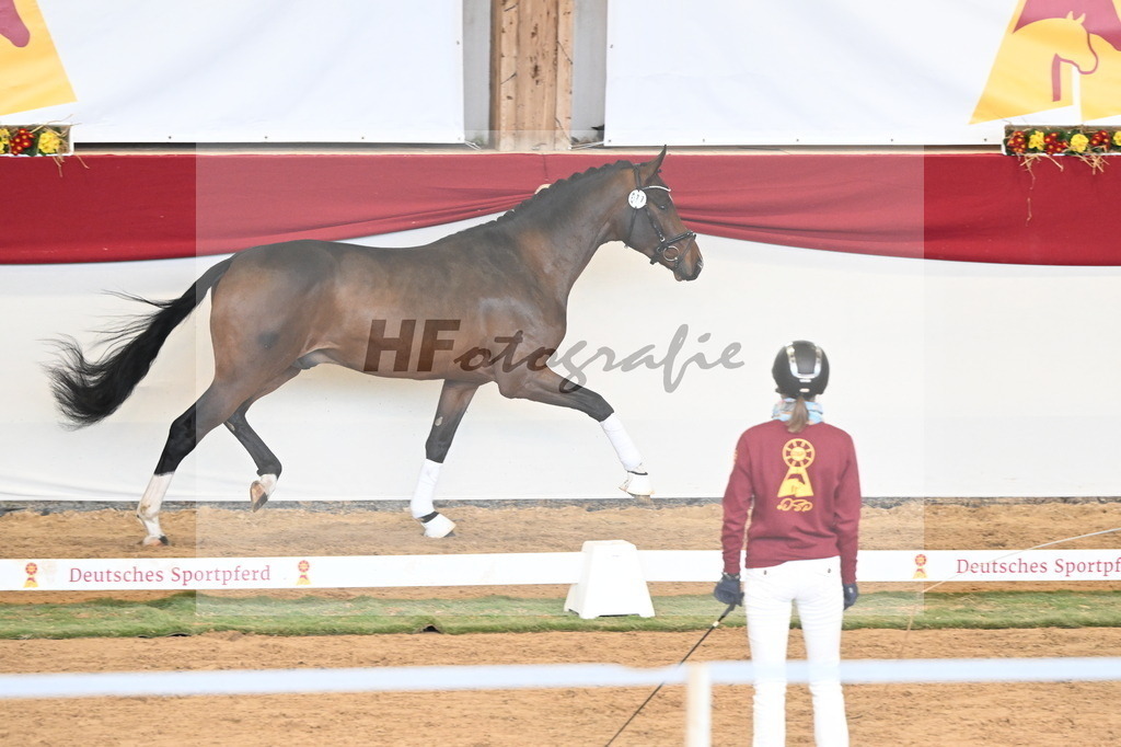 Kat.-Nr. 77 v. Taurus_Casper und Eulich_3261052 | hf-fotografie - Realizzato con Pictrs.com