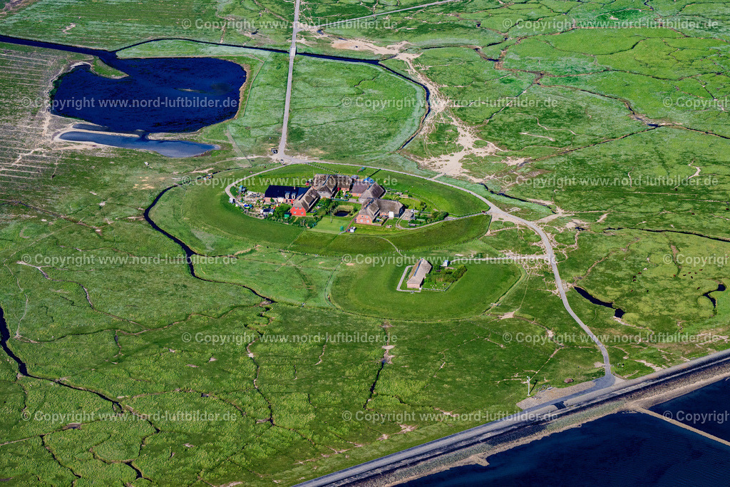 Gröde_Hallig_Knudtswarft_ELS_8603300523 | GRöDE 30.05.2023 Grasflächen- Strukturen einer Hallig- Landschaft Knudtswarft an der Straße Kirchwarft in Gröde Knudtswarft im Bundesland Schleswig-Holstein, Deutschland. // Green space structures a Hallig Landscape Knudtswarft on street Kirchwarft in Groede Knudtswarft in the state Schleswig-Holstein, Germany. Foto: Martin Elsen