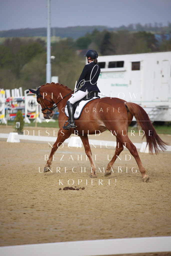 IMGT8295 | pl-fotografie