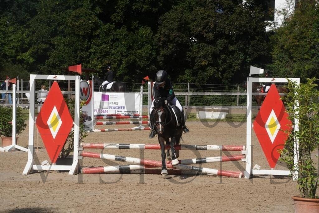 rveinoedsonntag (585) | d.tail Visions - Shop - Realisiert mit Pictrs.com