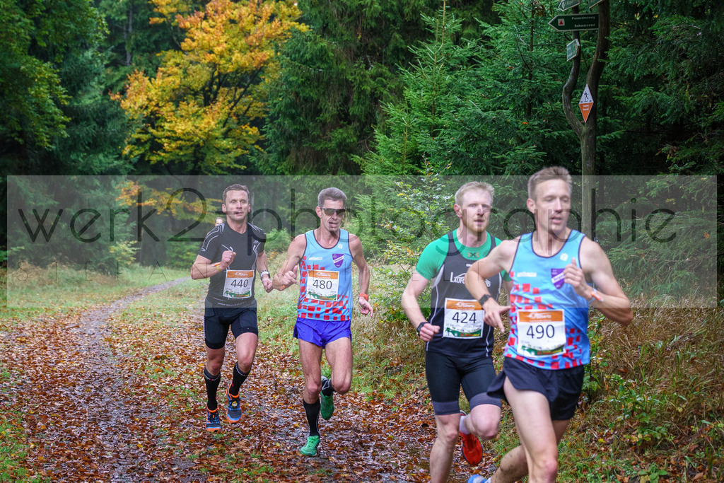 Herbstlauf 2017 | Neuhaus/Rwg. - Masserberg am 1. Oktober 2017