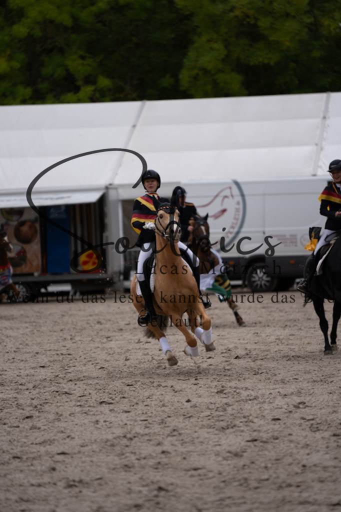 A7V01588 | Pferdefotograf