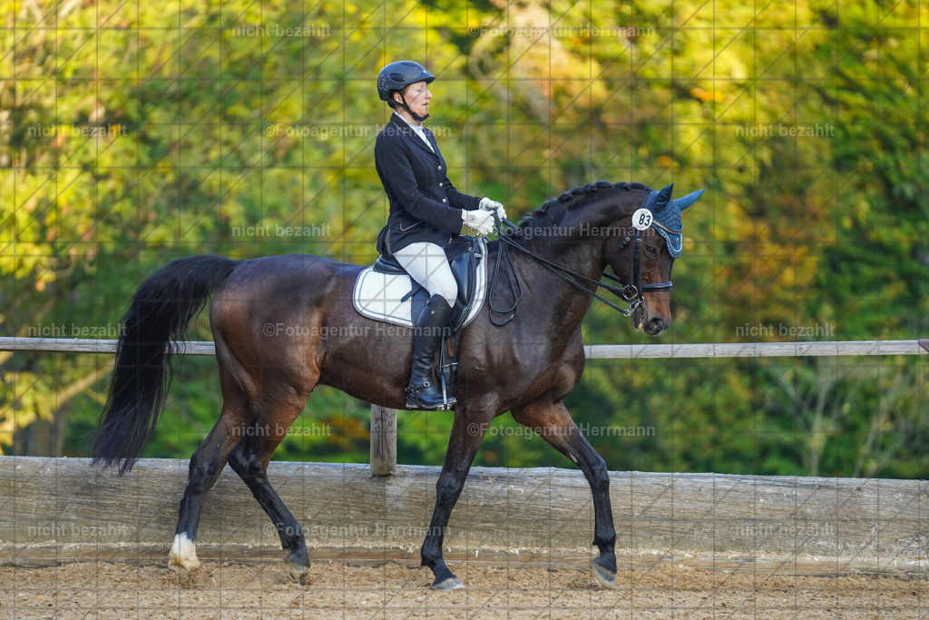 20221007-FAH00503 | Diessen am Ammersee, 2022, Dressur- und Springturnier, Reitsportbilder, Turnierfotografen Bayern, Pferdefotografen, Fotoagentur Herrmann, Turnierbilder