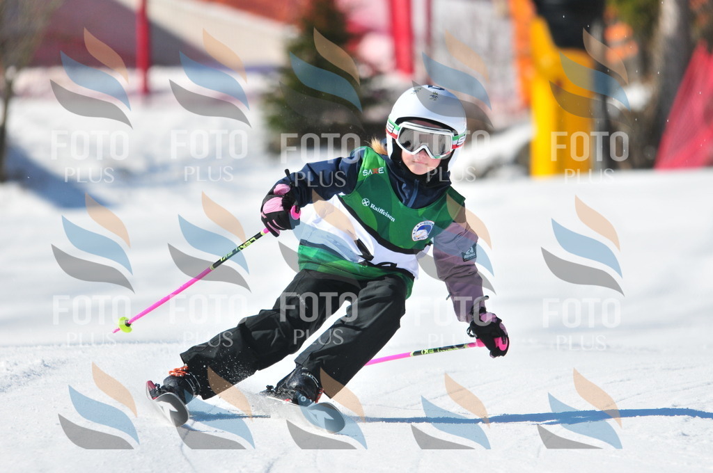 C3047 | holidayphoto