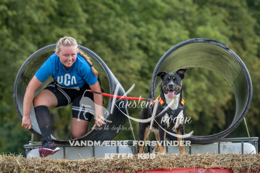 1030_ZZ92377 | kk-dogfotos