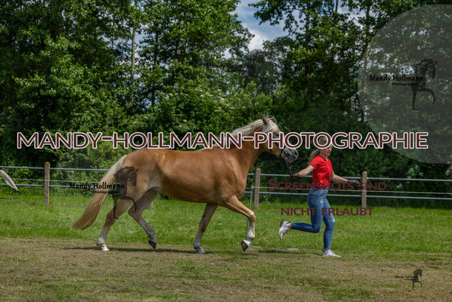 RR 1 (98 von 841) | mandyhollmannphotographie