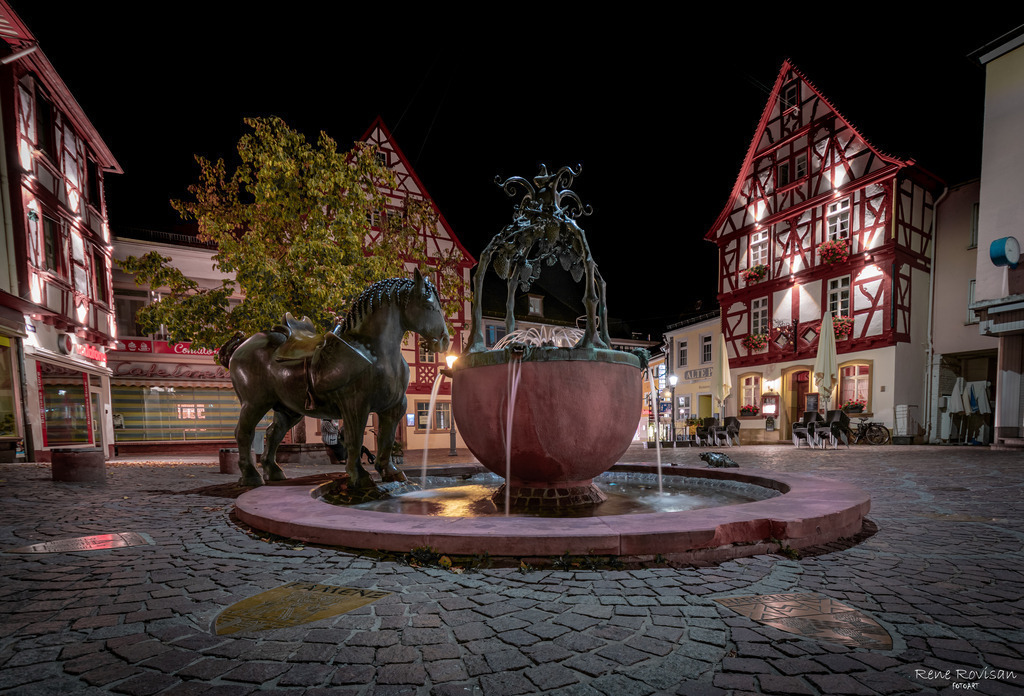 DSC_2605 | renerovisanfotoart.com