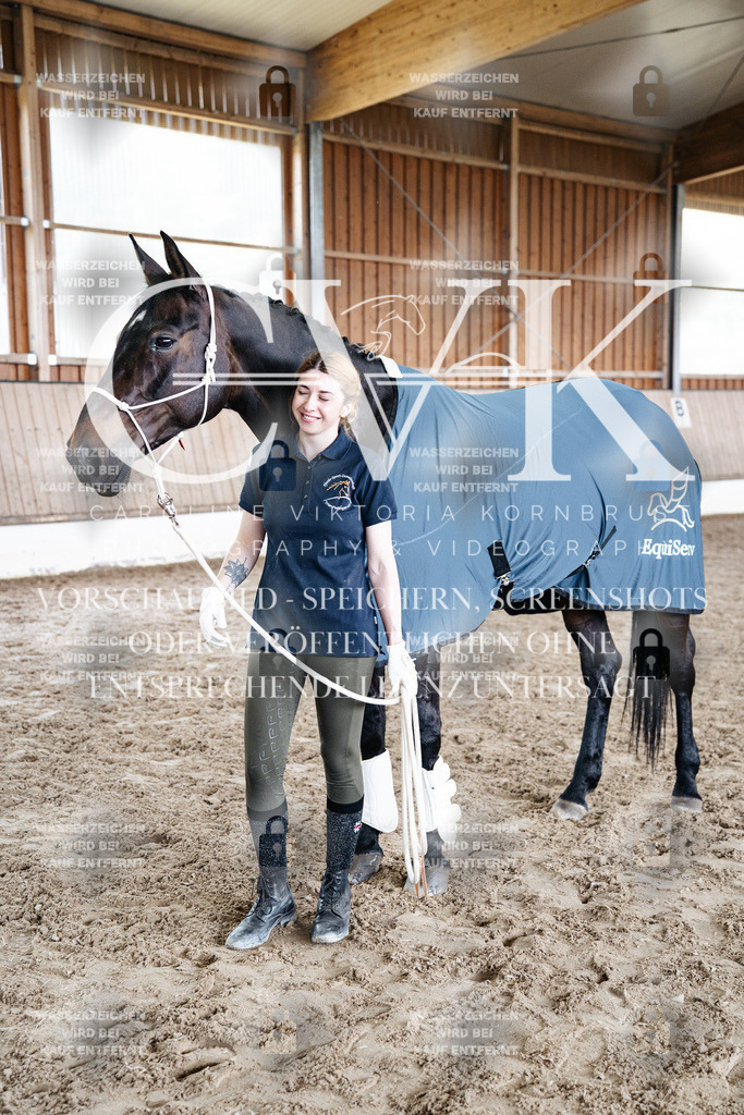 CK703301 | Turnierfotografie Pferdefotografie Trier Rheinland-Pfalz Pferdesport Reitsport Tierfotografie Sportfotografie Pferdevideo Pferdevideografie Equestrianvideography equestrianphotography  - Realisiert mit Pictrs.com